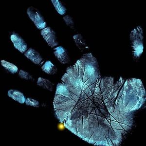 Meet your Posher, Liki _